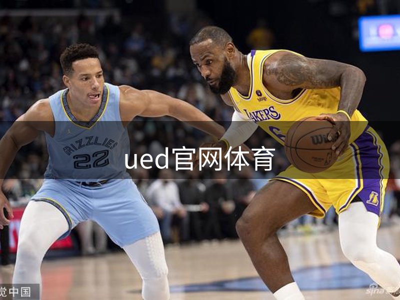 网站介绍